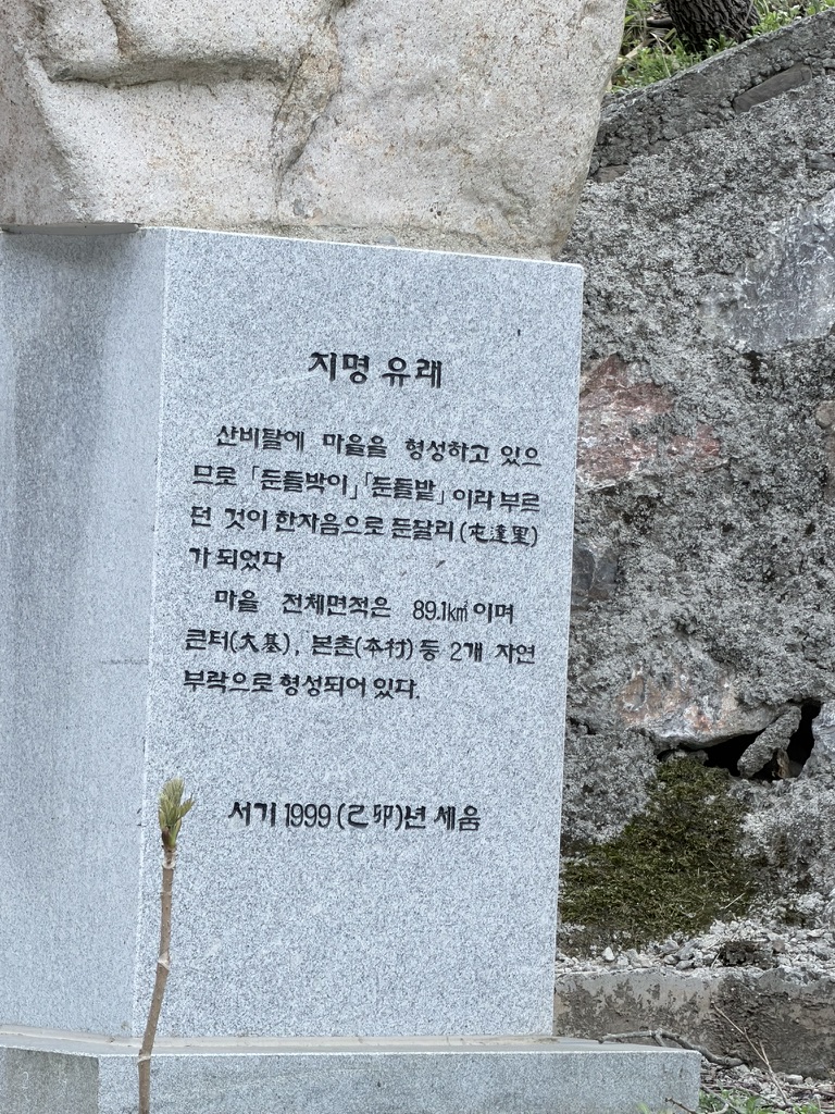 둔달리 사진 054AE98C-1CD