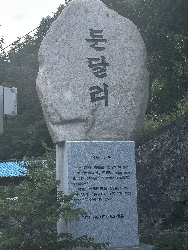 둔달리 사진 06FAA155-9A8