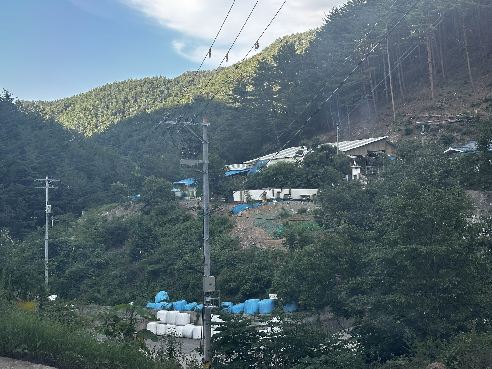 둔달리 사진 18191705-981