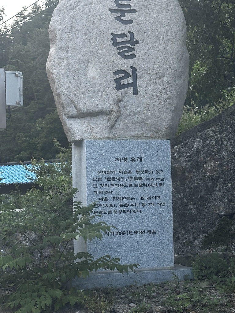 둔달리 사진 82FBF32E-860