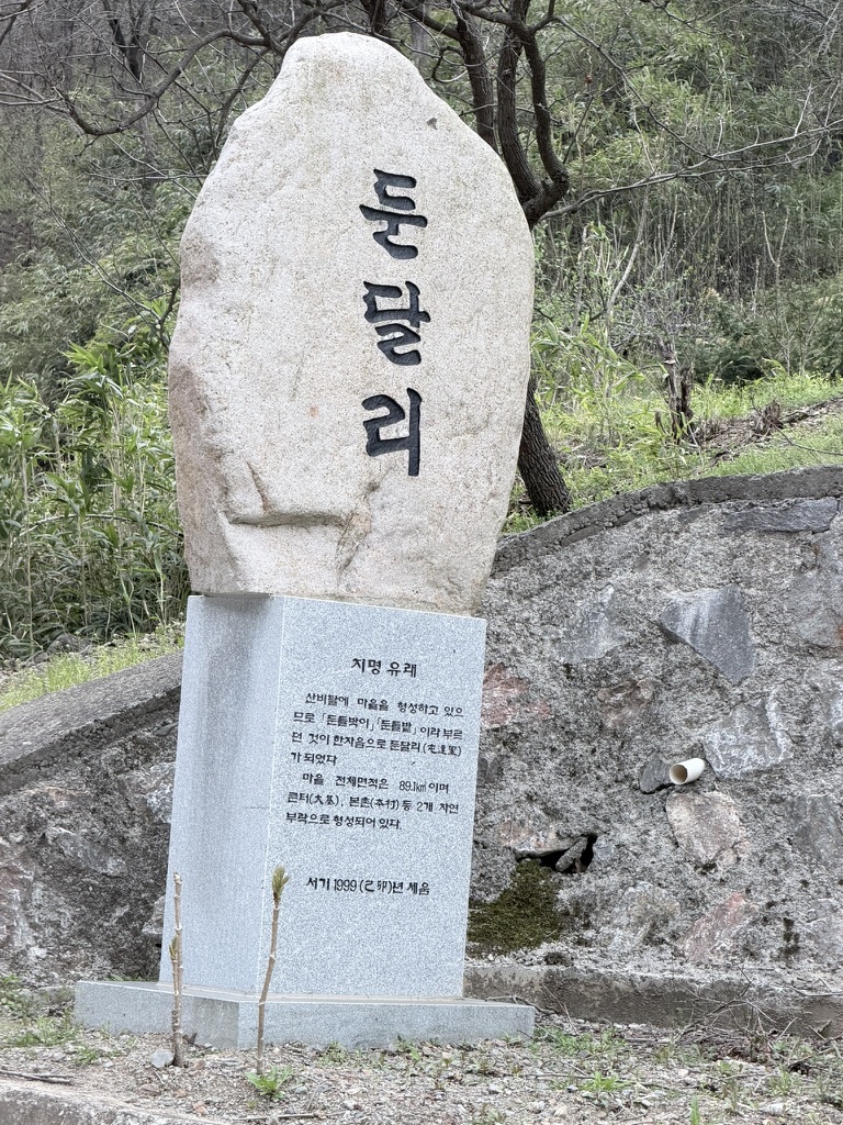 둔달리 사진 C27E195A-719