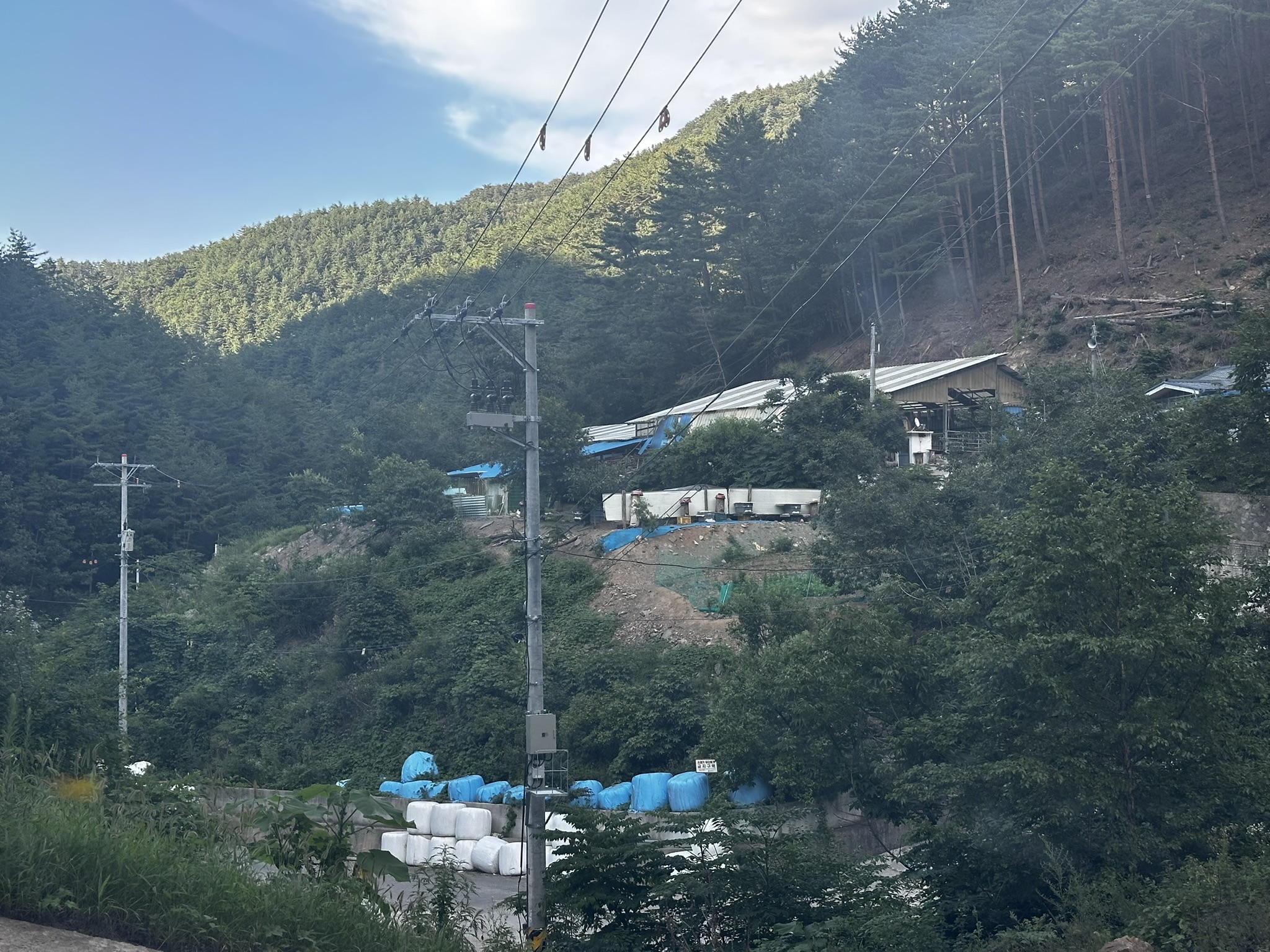 둔달리 사진 DD0012C0-B98
